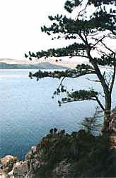 Loch Ewe